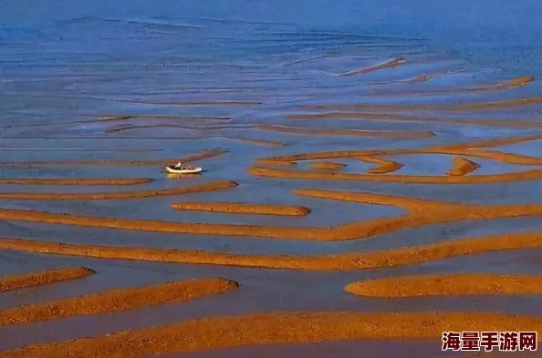 91蝌蚪91 九色：震撼全球的奇迹——这一独特生物竟然具备令人惊叹的多彩能力！