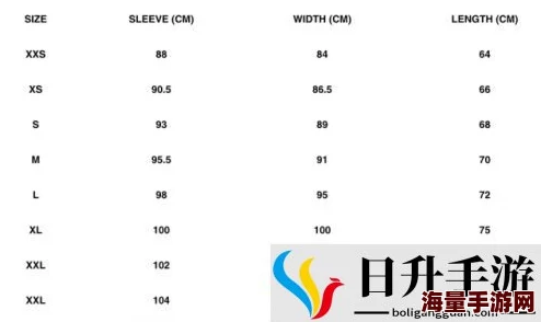 XXXXXL19D18使用评测：用户反馈与性能分析，揭示其在实际应用中的表现与优势