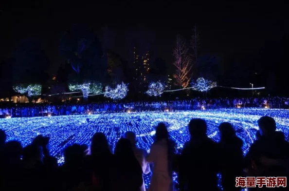 日本高清视频www夜色资源东京街头艺术节盛大开幕，吸引众多游客观赏