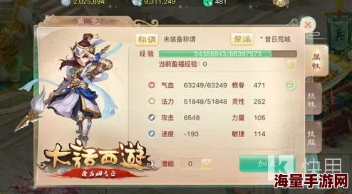 大话西游手游敏仙二转全面攻略：装备搭配、属性优化及宝宝选择详解