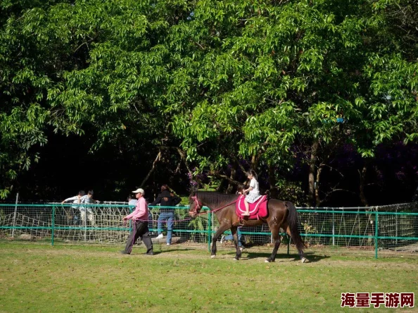 绝地求生刺激战场：单排勇士热带雨林冒险，精准控制节奏成制胜关键