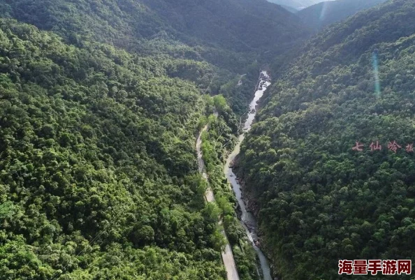 绝地求生刺激战场：单排勇士热带雨林冒险，精准控制节奏成制胜关键