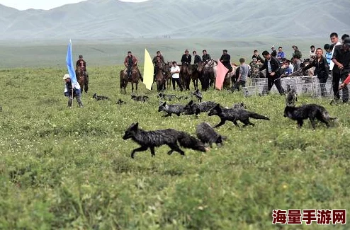 甘雨被丘丘人繁殖后代香格里拉