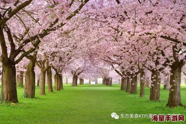 中文字幕日韩精品有码视频春季新片上线樱花盛开时节的浪漫邂逅