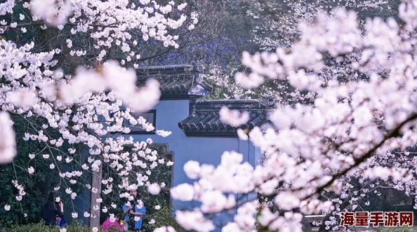 中文字幕日韩精品有码视频春季新片上线樱花盛开时节的浪漫邂逅