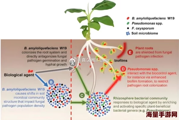 女人与zzzooooxxxx近日科学家发现了一种新型植物，能够在极端环境下生存并吸收空气中的污染物