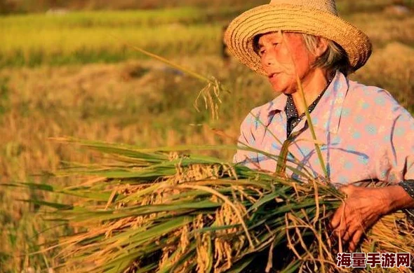 青草青草视频2免费观看更新至第8集画质提升新增花絮