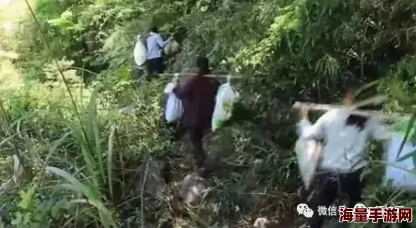 土匪强开小嫩苞h近日一名勇敢的女子在山中遭遇土匪，凭借机智成功逃脱并报警。