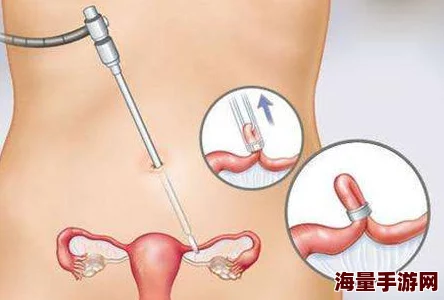 长得俊abo怀孕他分化成Omega了还怀上了死对头的孩子