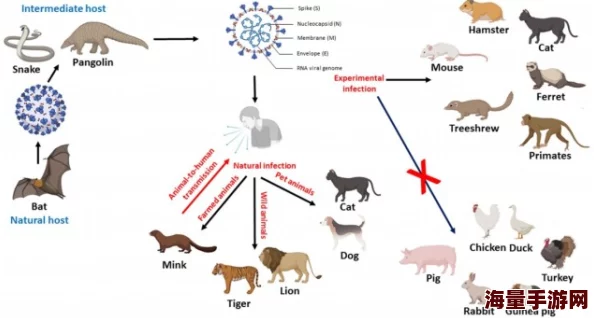 zoofilia杂交videos新一最新研究揭示动物行为与人类情感的复杂关系