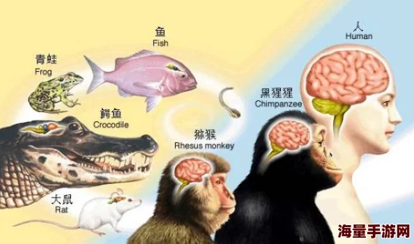 zoofilia杂交videos新一最新研究揭示动物行为与人类情感的复杂关系