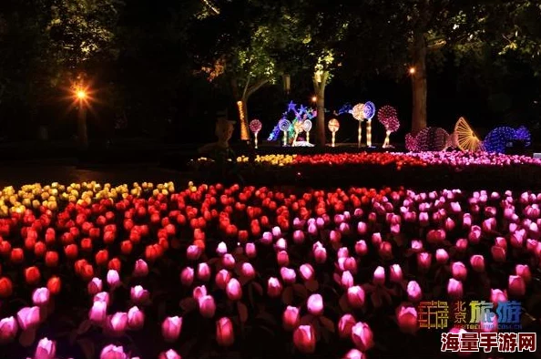 非洲一级片探索神秘自然与野生动物的奇幻之旅现已上线