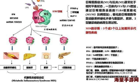 丁香五婷婷最新研究发现肠道菌群多样性与肥胖密切相关