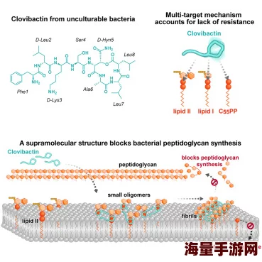 japonensis40＂科学家发现新型抗生素可有效对抗耐药细菌