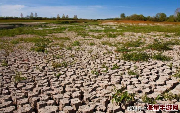 天地之间白秋近日科学家发现了一种新型植物，能够在极端干旱条件下生存，具有重要的生态价值。