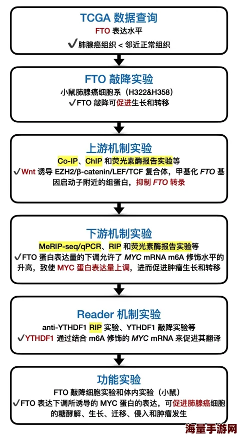 真实国产伦子系疑似与神秘投资人关系密切合作项目即将启动