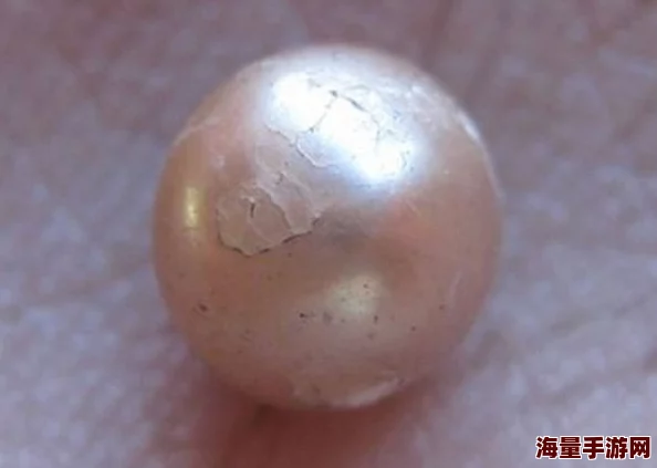 综合伊人惊现百年罕见巨型珍珠价值连城