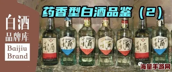 【独家揭秘】传奇世界手游最新线下品鉴会精彩视频，热门玩法抢先看！