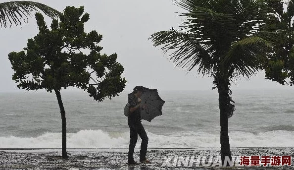 西边雨巴西里约热内卢遭遇强降雨引发洪水多地进入紧急状态