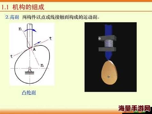 性别自由凸轮管脱垂曝光者联系方式1234567890寻求帮助维护权益