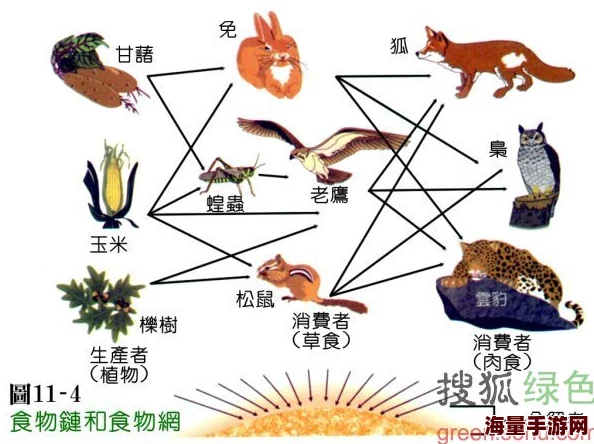 食物链遭受污染和人为破坏部分物种濒临灭绝生态系统岌岌可危