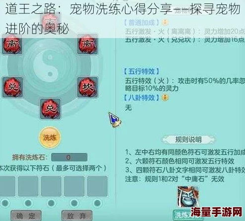 道王手游宠物洗练新攻略：解锁热门技巧，大幅提升宠物基础成长值