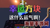 籽岷暑假特辑：2024热门幸运方块大冒险上集精彩回放