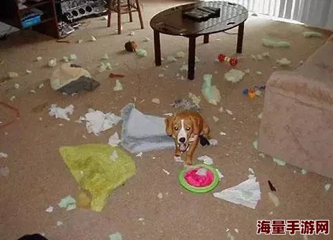 我的老公是条狗全集阅读小说据说作者养了三条狗灵感都来源于此