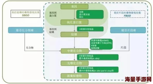 时洛角色能力与成长历程探析及其在不同环境下的行为模式变化