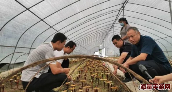 战斗吧蘑菇君：全面解锁辅助栏方法与技巧热门指南