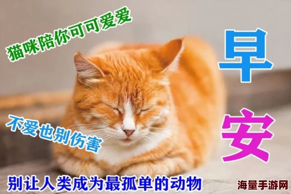 啊~好爽原标题《午后阳光下的猫咪》视频内容与标题不符误导用户