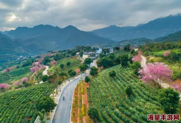 四合院：青春燃烧的岁月年代感十足，剧情引人入胜，展现了青春的活力与奋斗