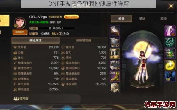 DNF手游热门装备解析：黑色暗血护腿属性全介绍