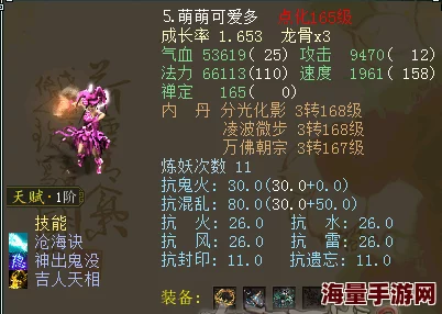 大话西游手游：2024毒女人顶尖装备宝宝搭配全攻略