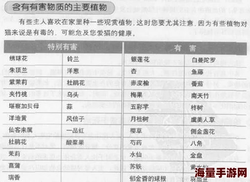 巴清传新手必看！2024热门日常入门攻略，不容错过精髓汇总