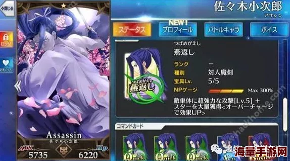 命运冠位指定FGO：2024热门光炮弓阶最强宝具深度点评