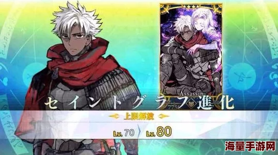 命运冠位指定fgo：卫宫切嗣2024热门蓝卡队伍搭配全解析