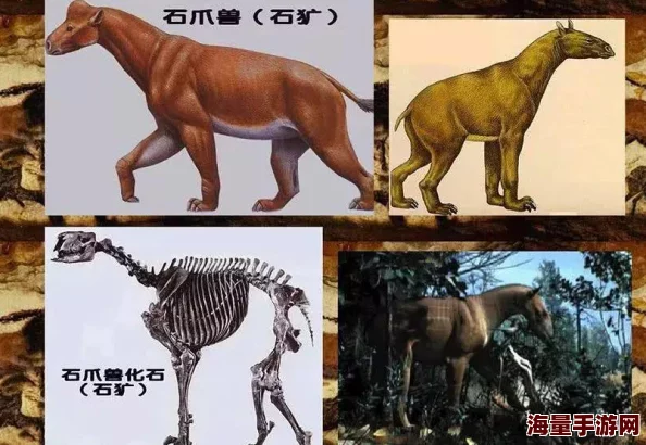 植物大战僵尸杂交版冒险模式62关通关攻略详解