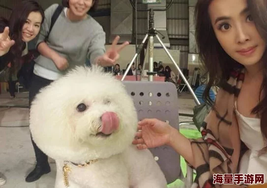 DNF2020春节套宠物装备属性怎么样_2020春节套宠物装备属性介绍 DNF2020春节套宠物装备属性怎么样_2020春节套宠物装备属性介绍