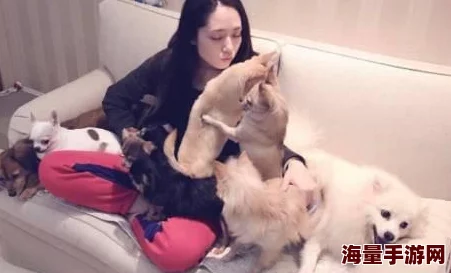 DNF2020春节套宠物装备属性怎么样_2020春节套宠物装备属性介绍 DNF2020春节套宠物装备属性怎么样_2020春节套宠物装备属性介绍